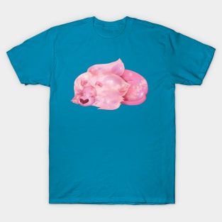 Sleeping Lion - Steven Universe fan art by Lavinia Knight T-Shirt